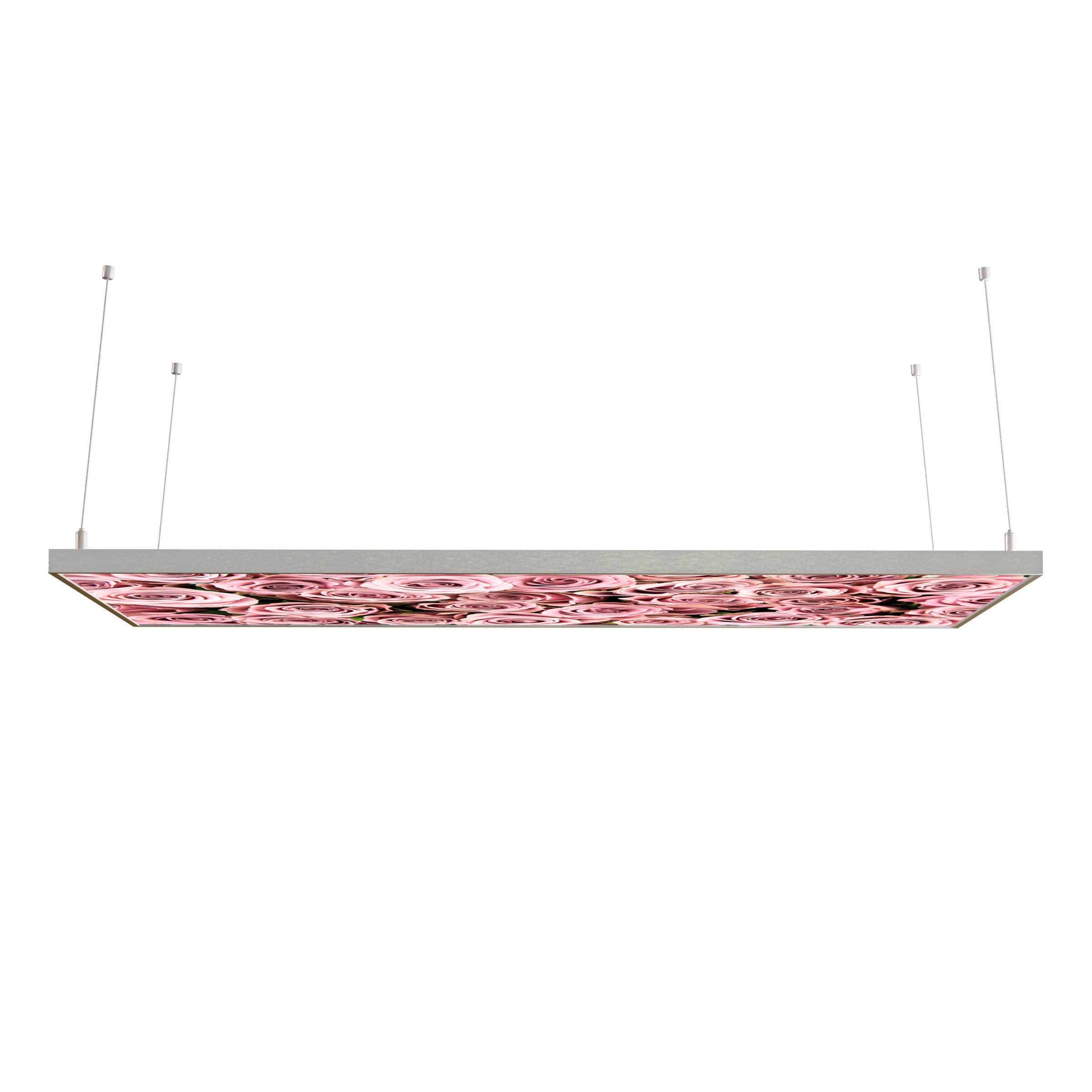 STEINFELD Decken Infrarotheizung 350-1200W Motiv 021 Rosenstrauß