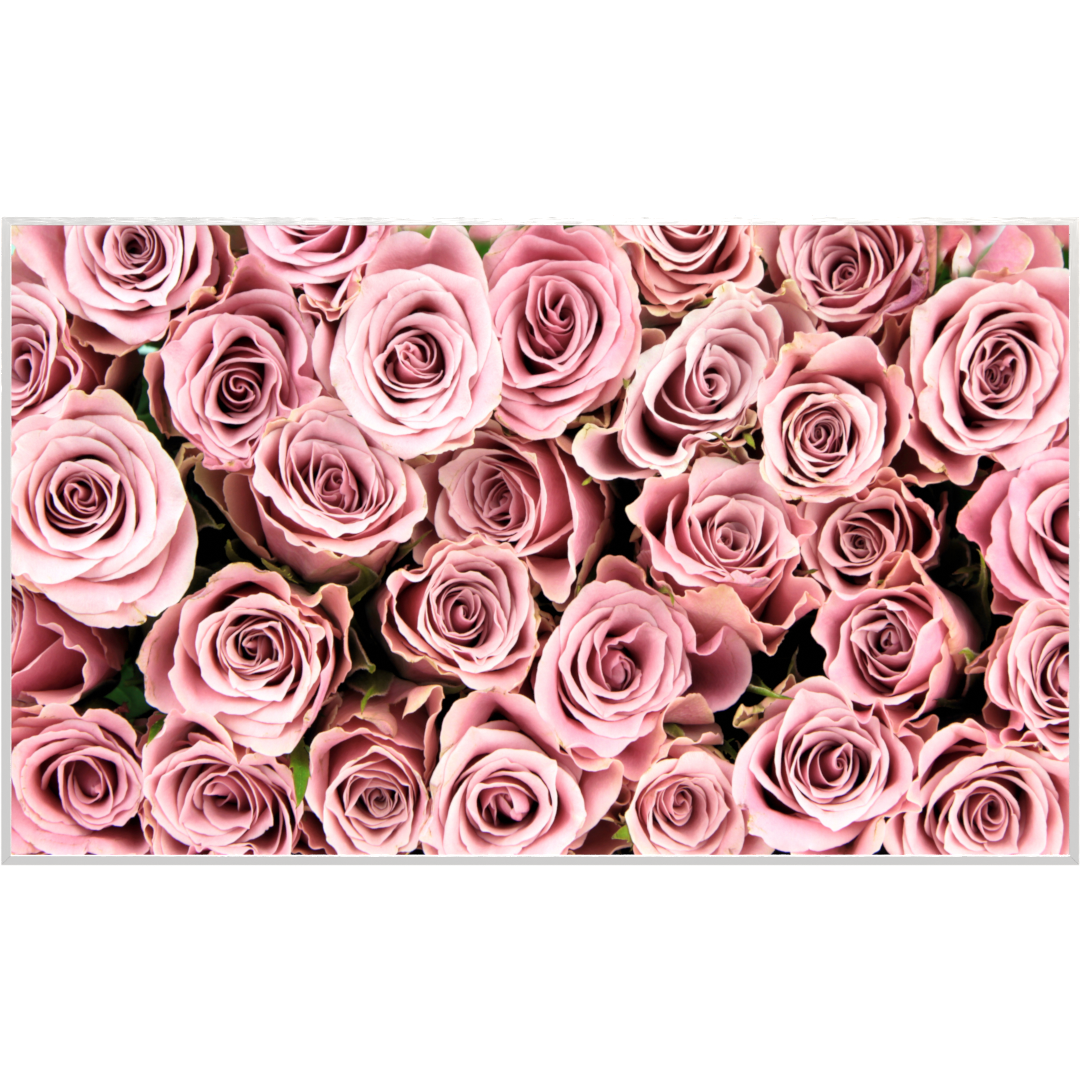 Deko Glas Wandbild Motiv 021 Rosenstrauß