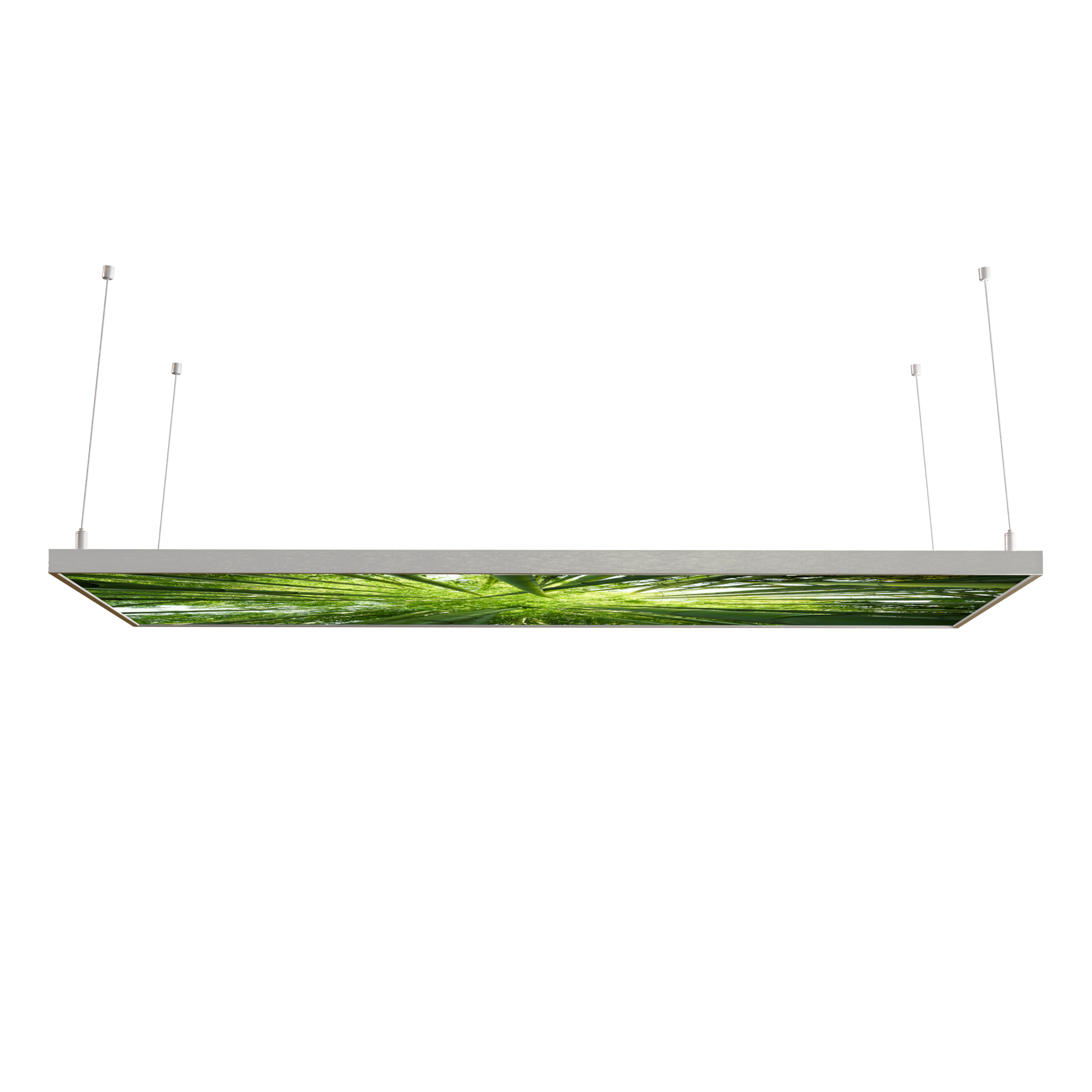 STEINFELD Decken Infrarotheizung 350-1200W Motiv 023 Bambusbaum