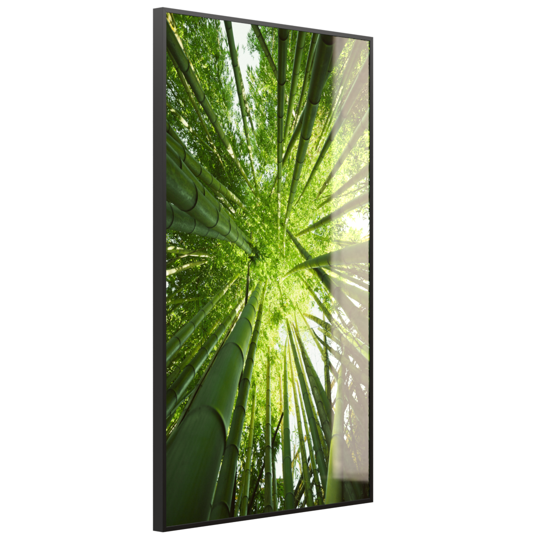 Glas Infrarotheizung 350-1200W Motiv 023H Bambusbaum