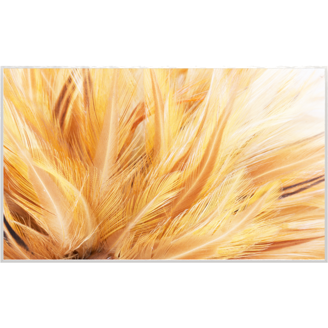 Deko Glas Wandbild Motiv 028 Federn