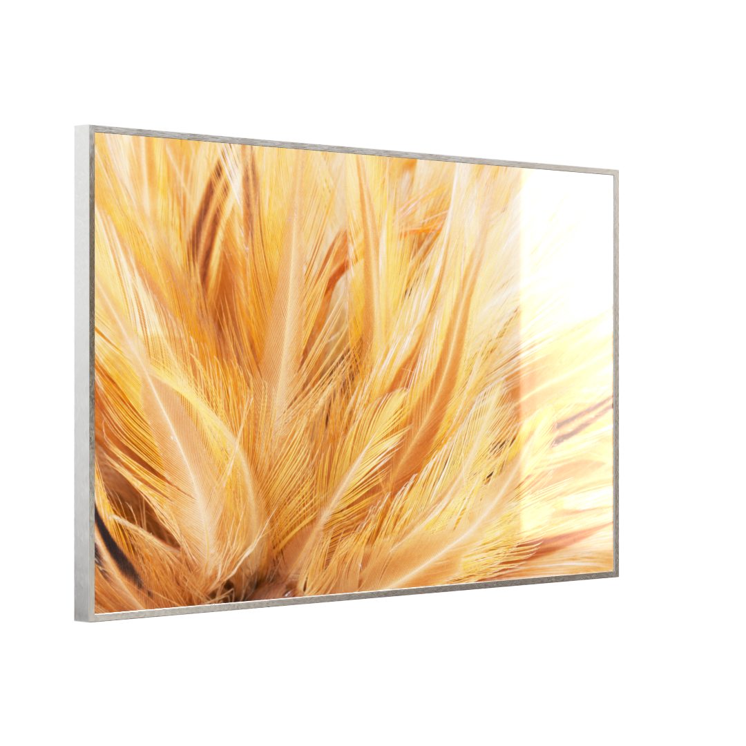 Deko Glas Wandbild Motiv 028 Federn