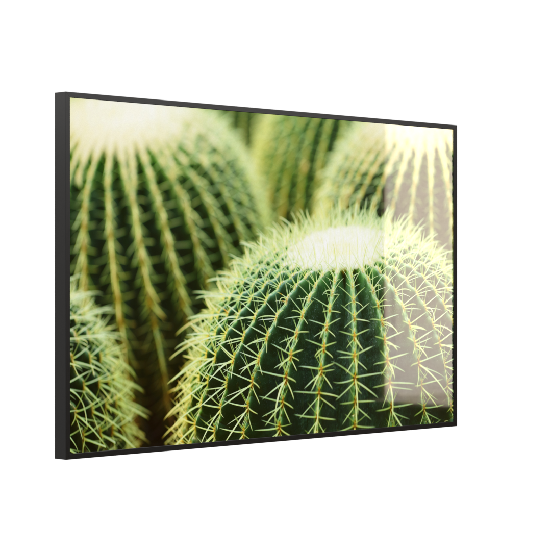 Deko Glas Wandbild Motiv 035 Kaktus