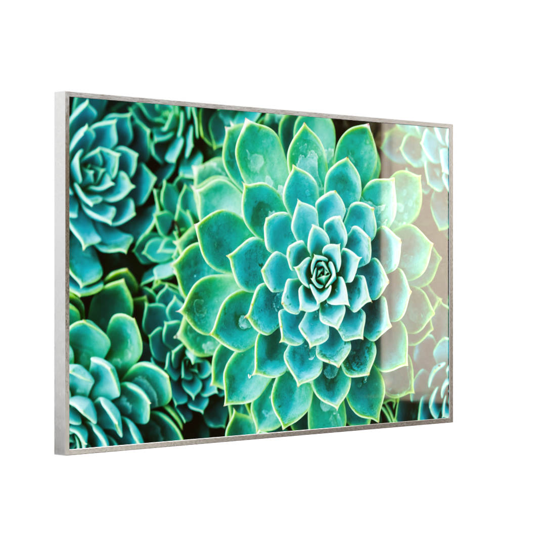 Deko Glas Wandbild Motiv 036 Kaktus in Queen