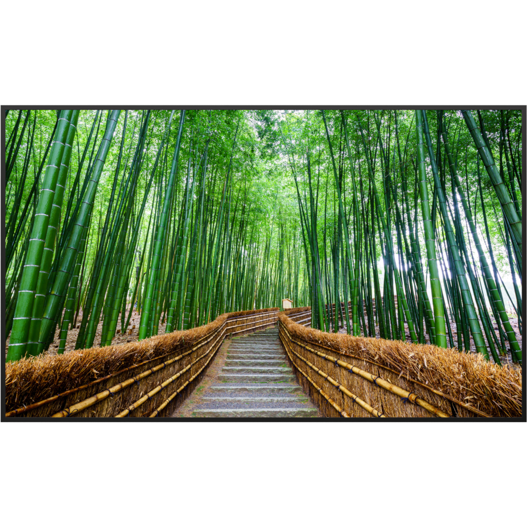 Deko Glas Wandbild Motiv 037 Bambus Wald