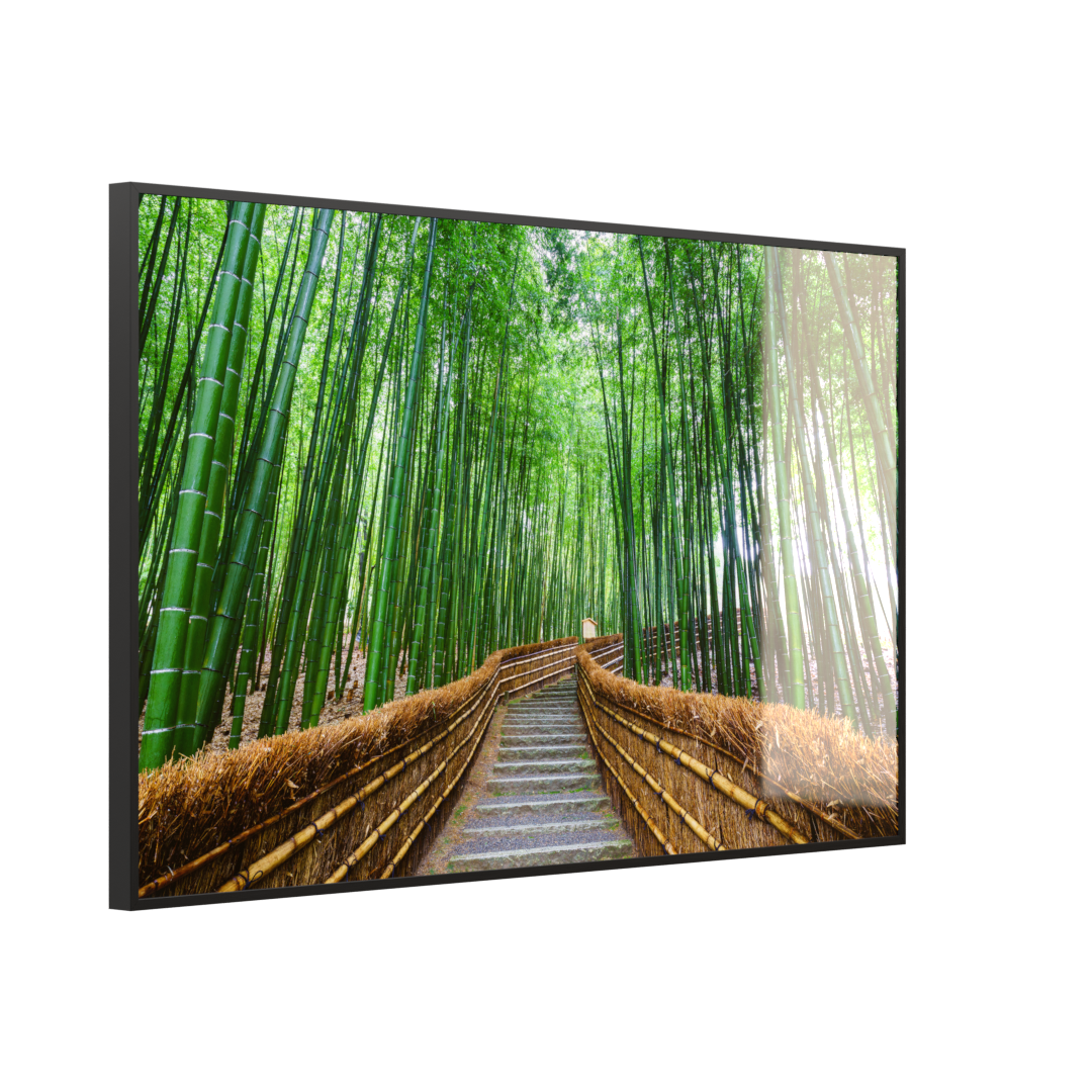 Deko Glas Wandbild Motiv 037 Bambus Wald