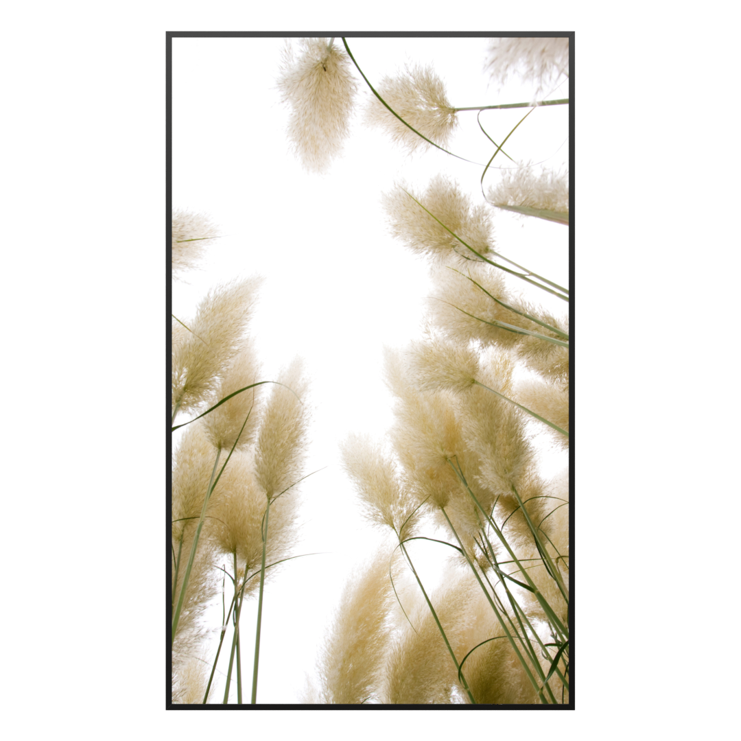 Deko Glas Wandbild Motiv 043H Röhricht