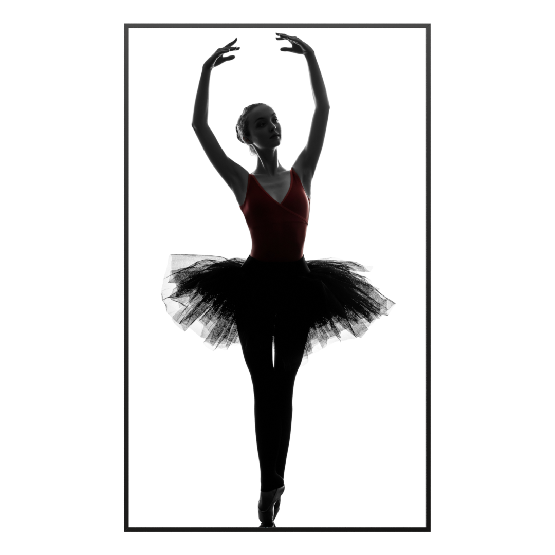 Deko Glas Wandbild Motiv 049H Ballerina