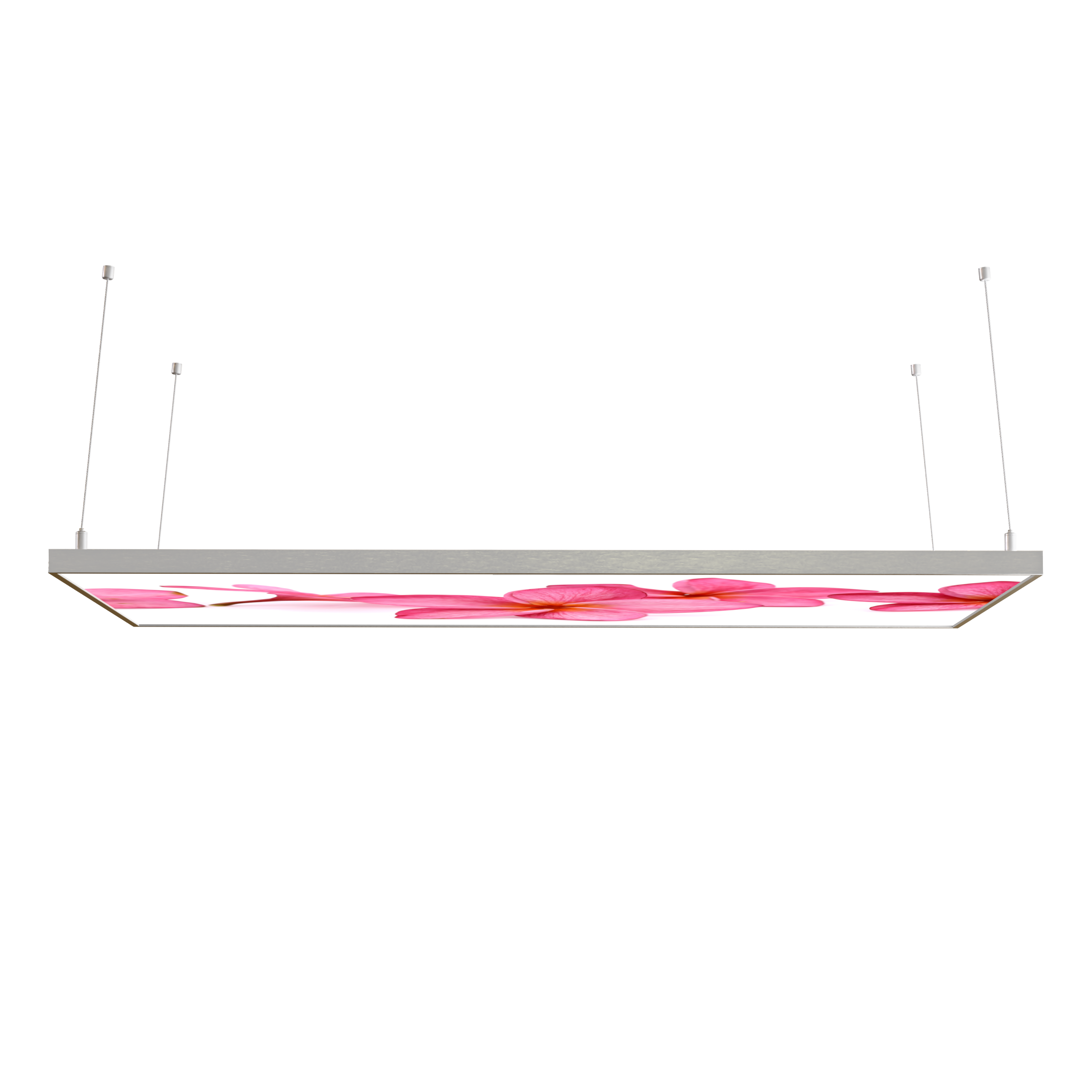 STEINFELD Decken Infrarotheizung 350-1200W Motiv 053 Pink Frangipani