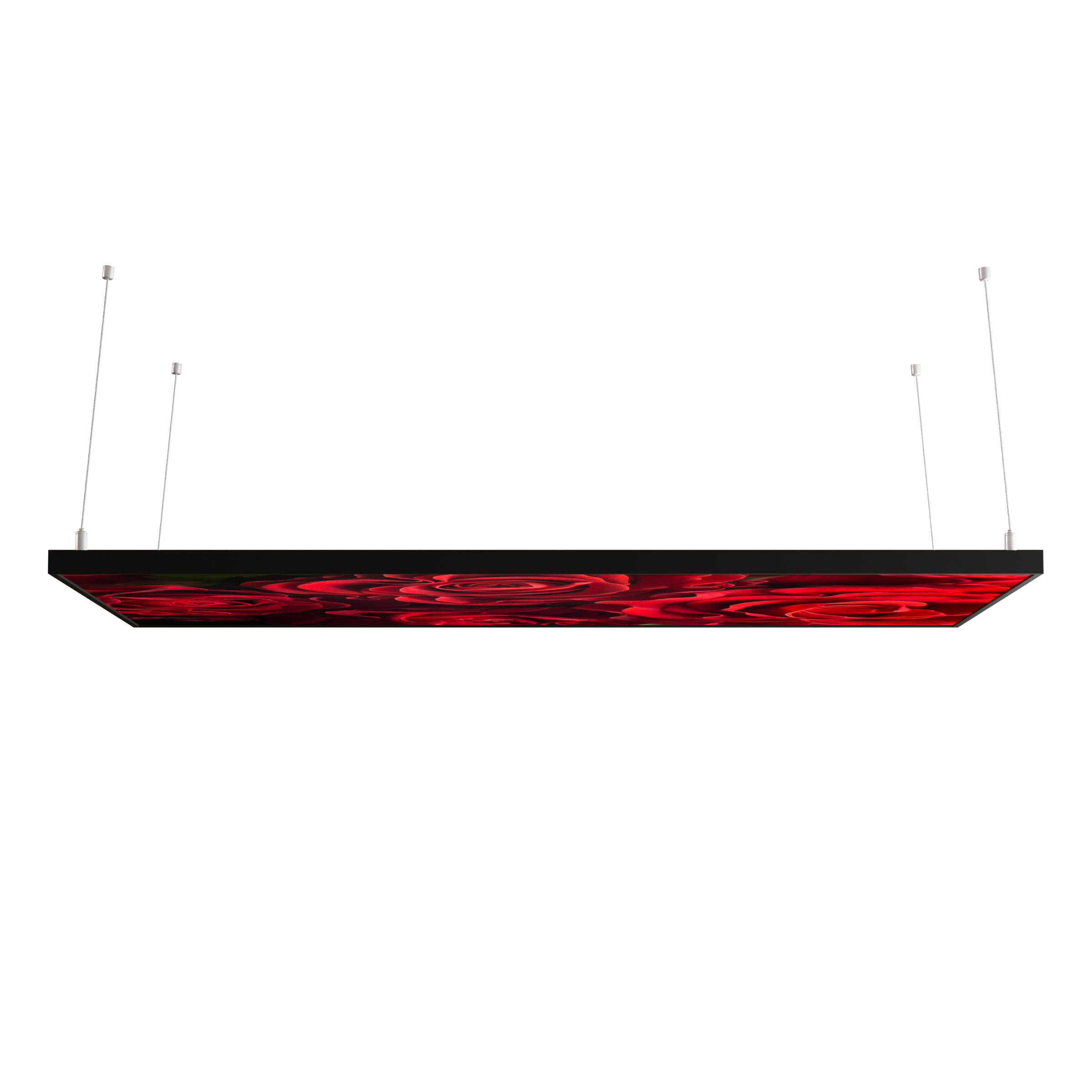 STEINFELD Decken Infrarotheizung 350-1200W Motiv 056 Rote Rosen