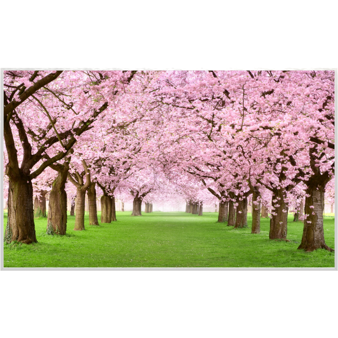 Deko Glas Wandbild Motiv 058 Kirschbäume Allee