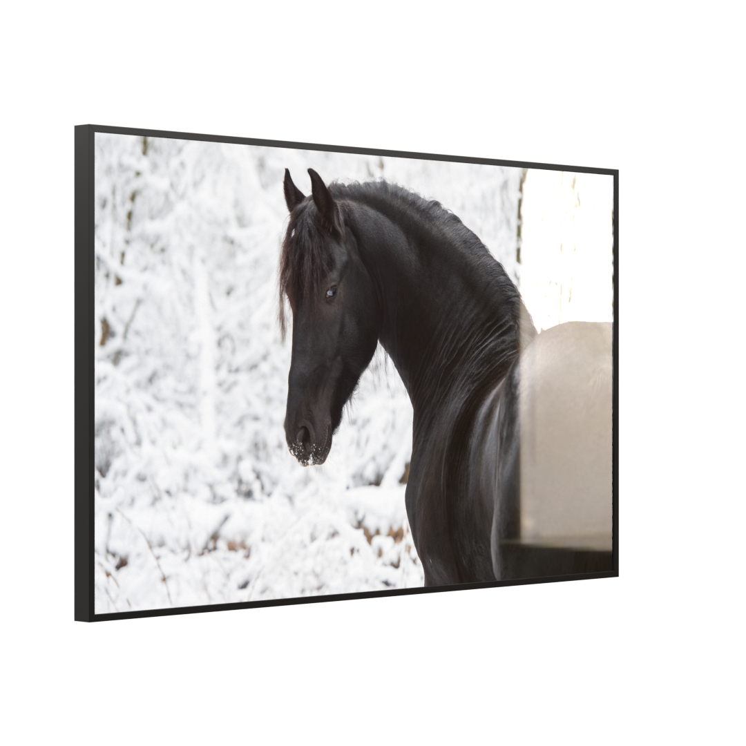 Deko Glas Wandbild Motiv 060 schwarzes Pferd