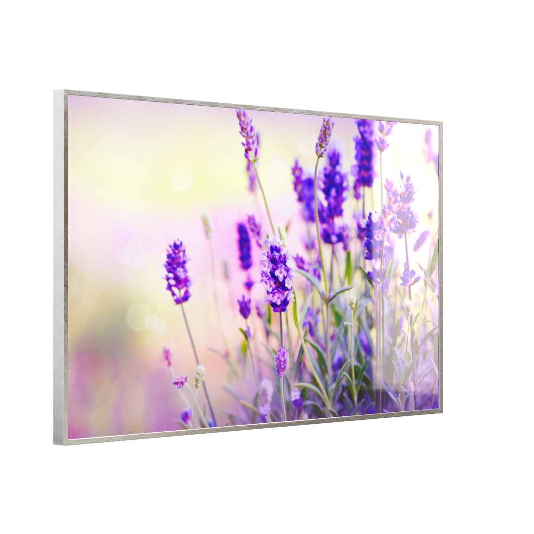 Deko Glas Wandbild Motiv 061 Lavendel
