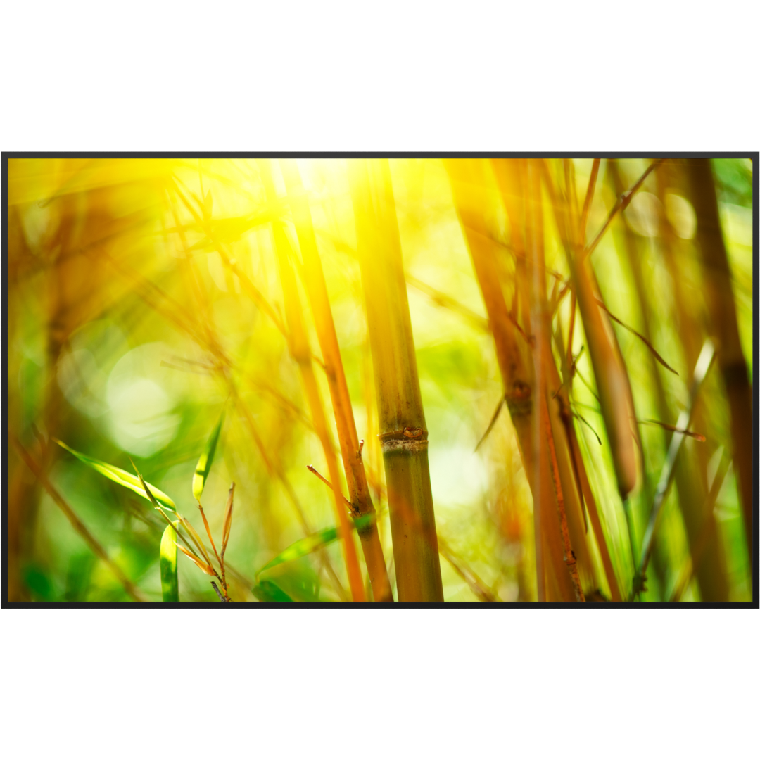 Deko Glas Wandbild Motiv 062 Bambus
