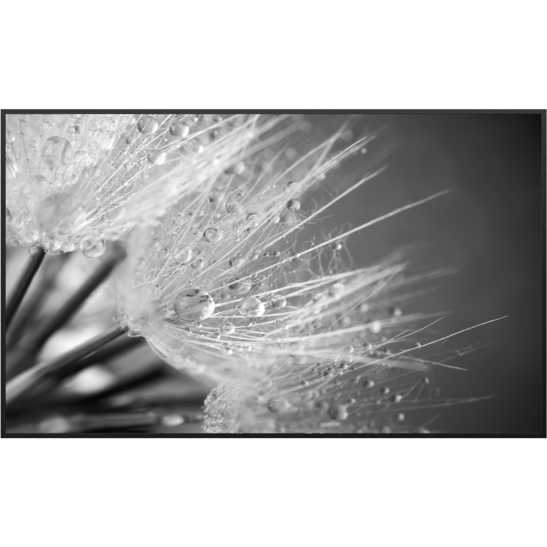 Deko Glas Wandbild Motiv 063 Löwenzahn