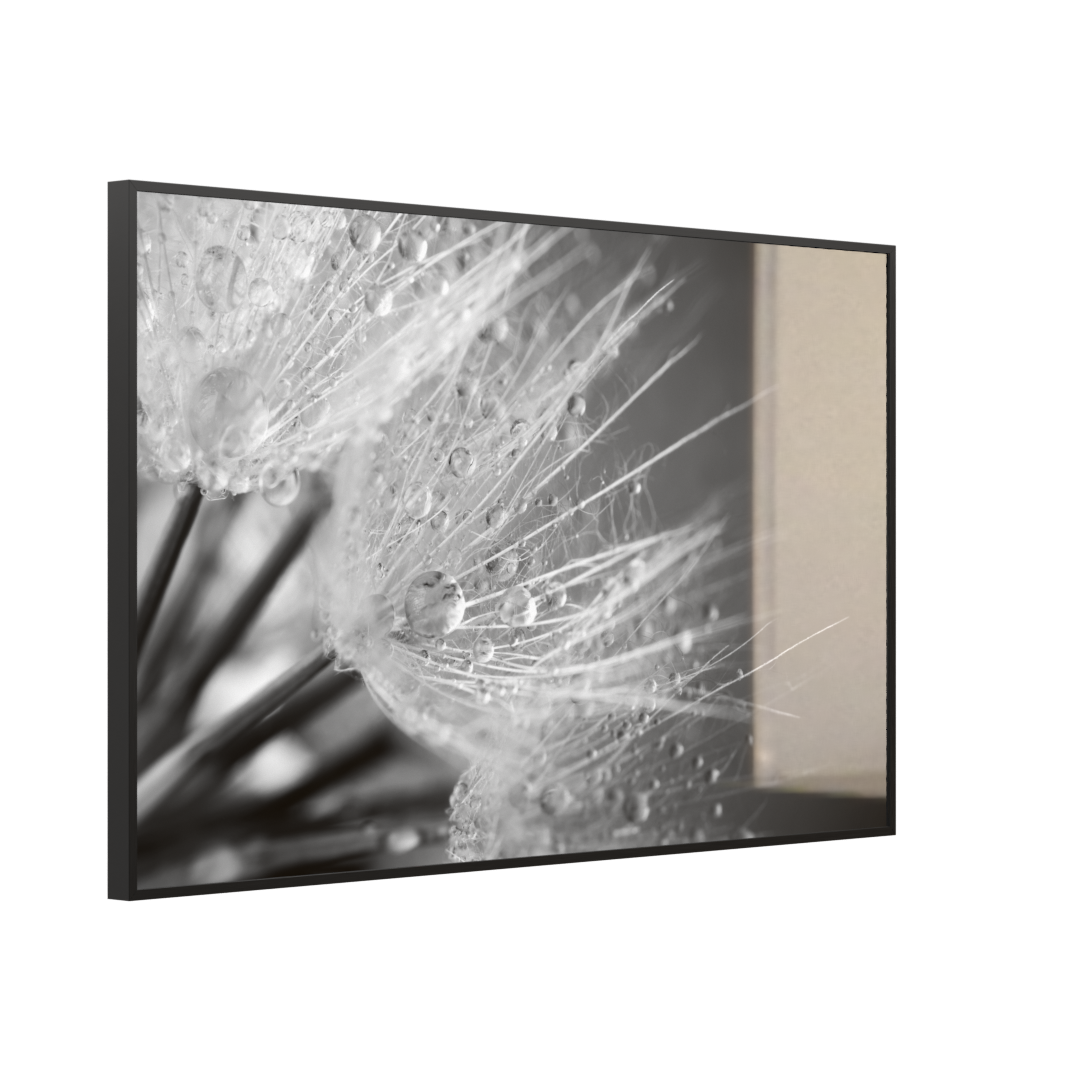 Deko Glas Wandbild Motiv 063 Löwenzahn