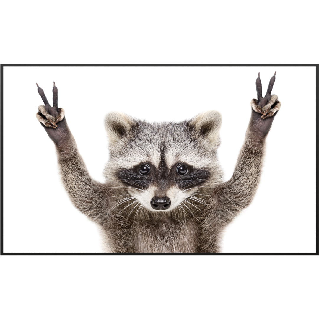 Deko Glas Wandbild Motiv 066 Waschbär