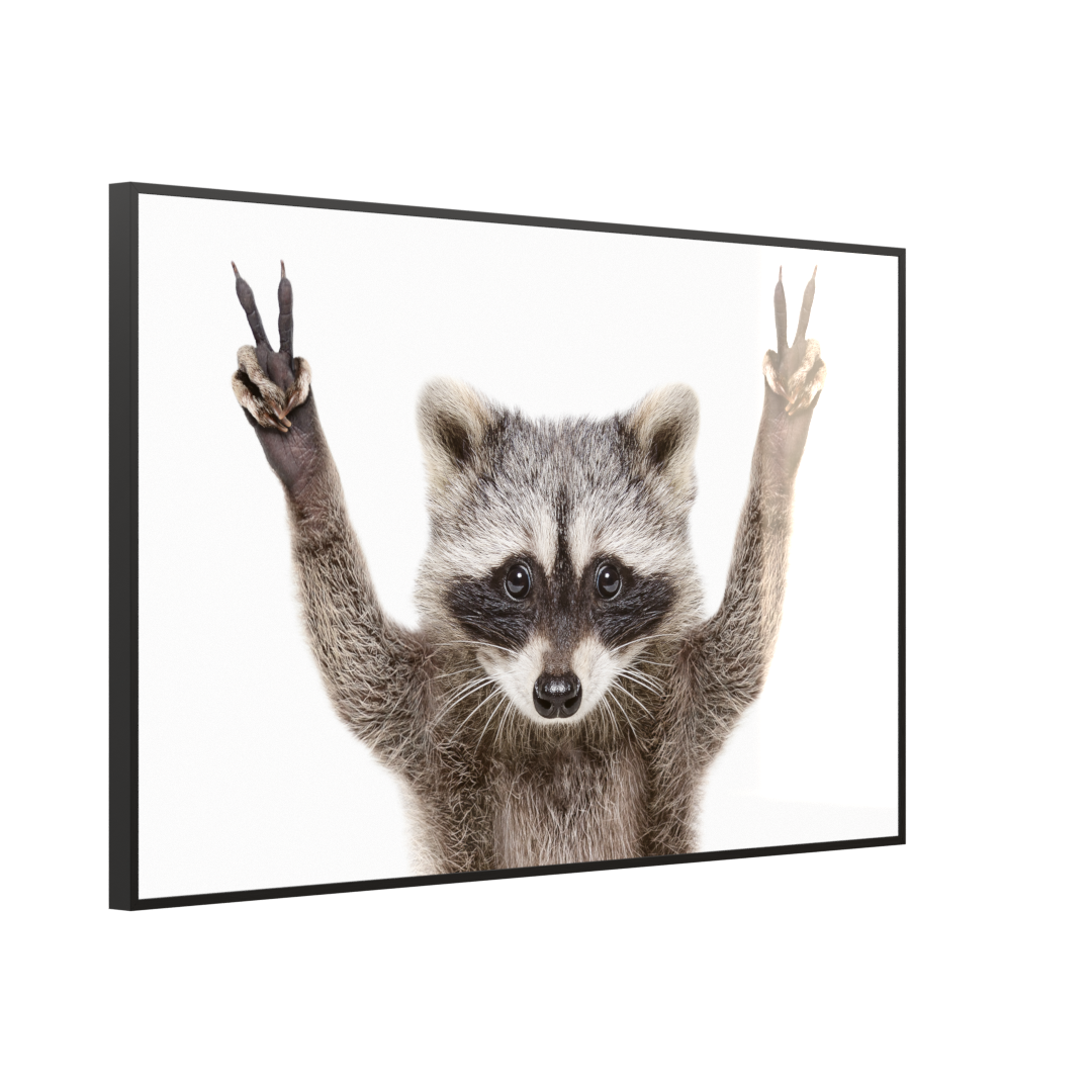 Deko Glas Wandbild Motiv 066 Waschbär