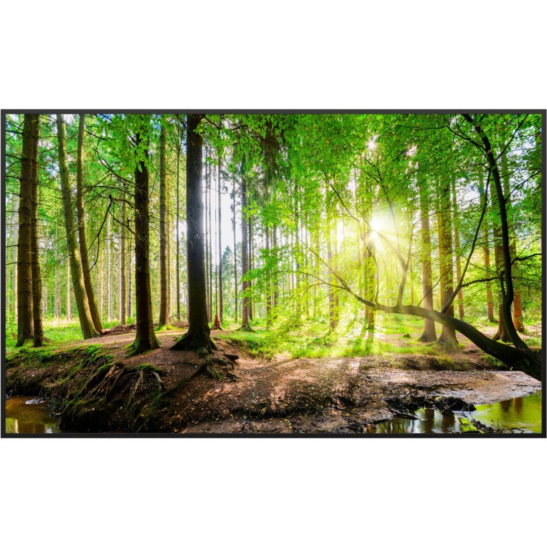 Deko Glas Wandbild Motiv 067 Wald Panorama