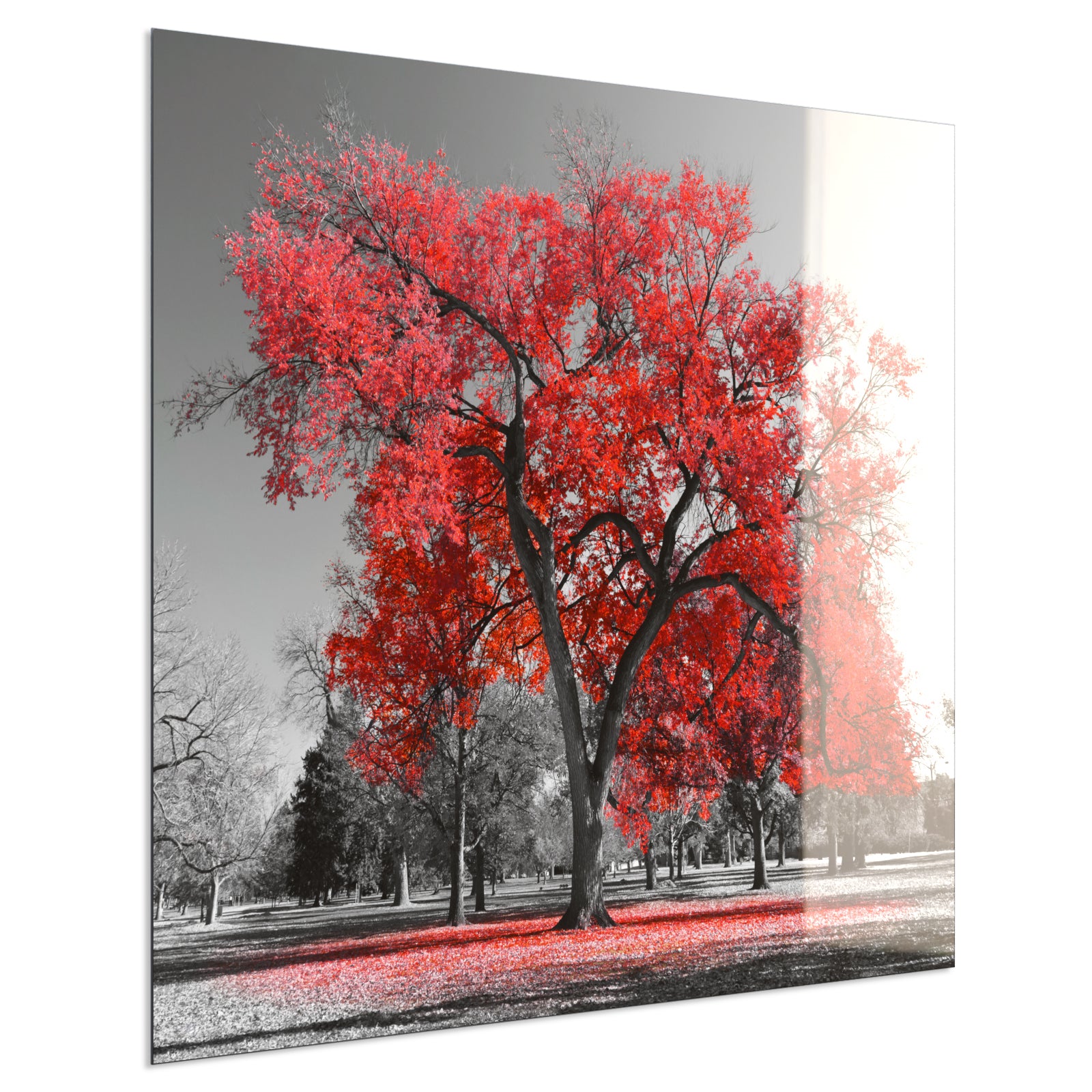 Deko Glas Wandbild Motiv 010 roter Baum