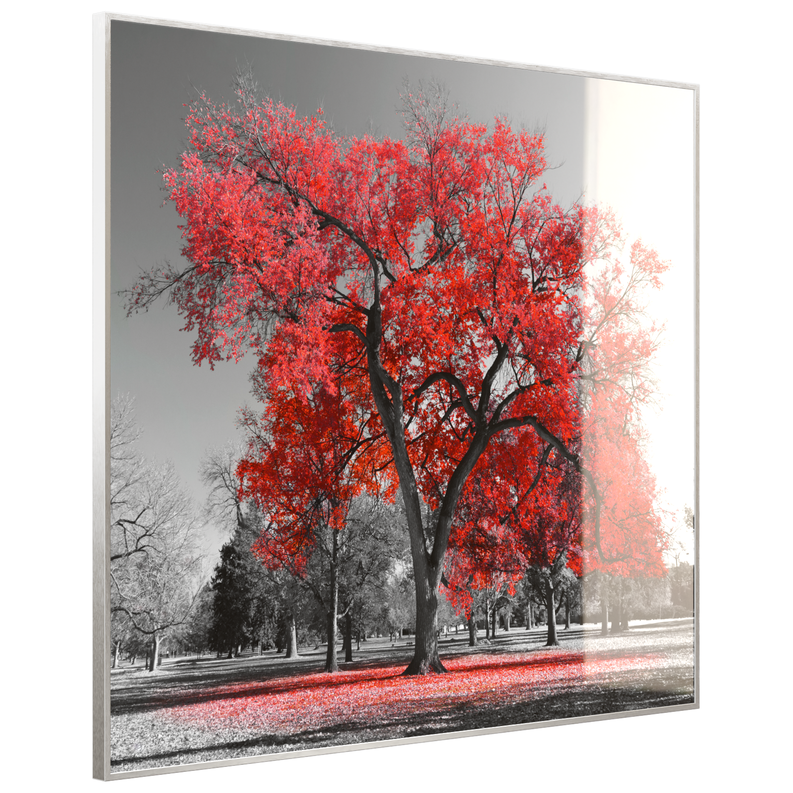 Deko Glas Wandbild Motiv 010 roter Baum