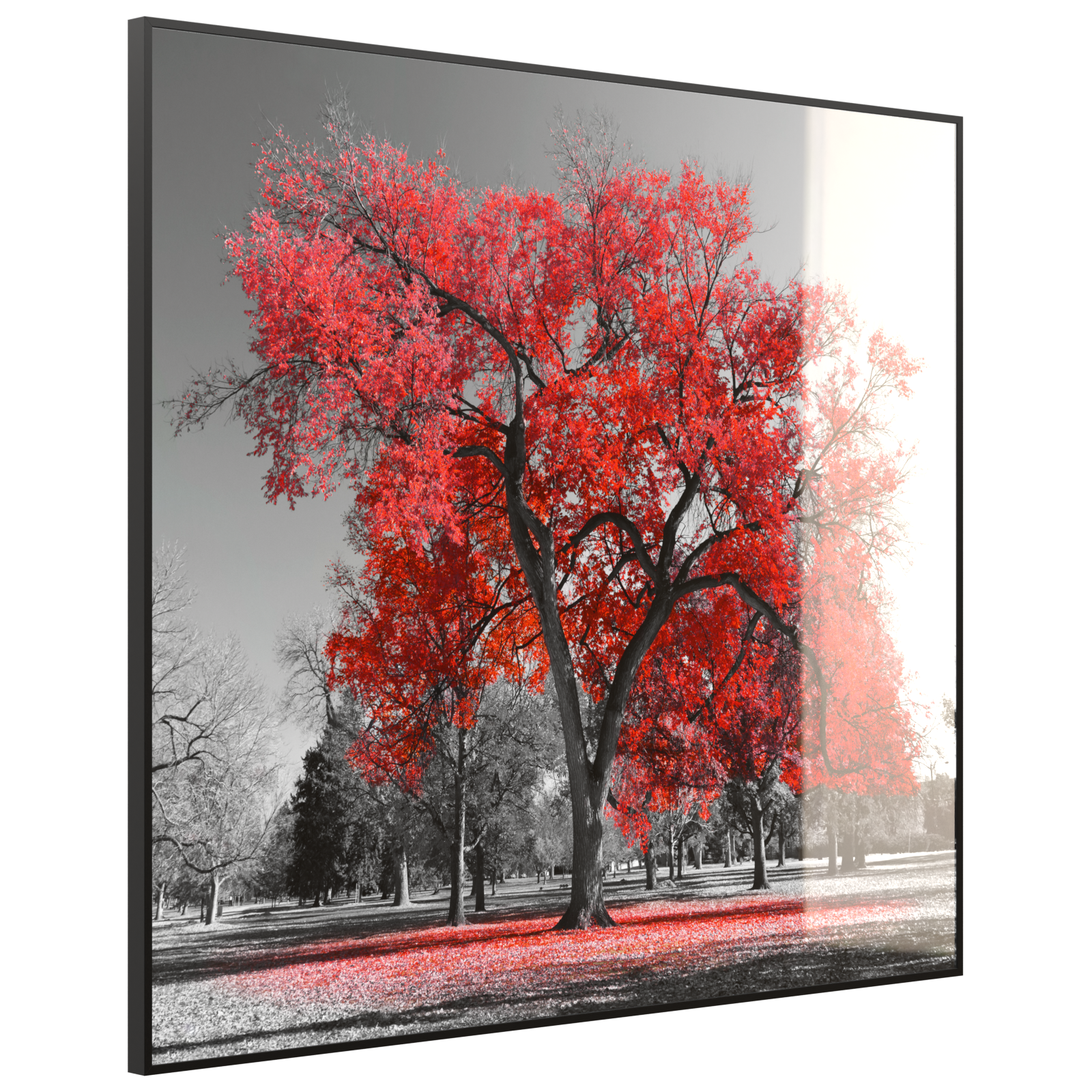 Deko Glas Wandbild Motiv 010 roter Baum