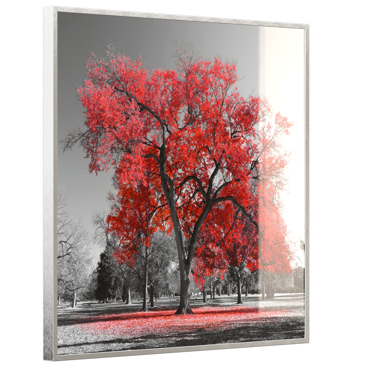 STEINFELD Deko Glas Wandbild Motiv 010 roter Baum
