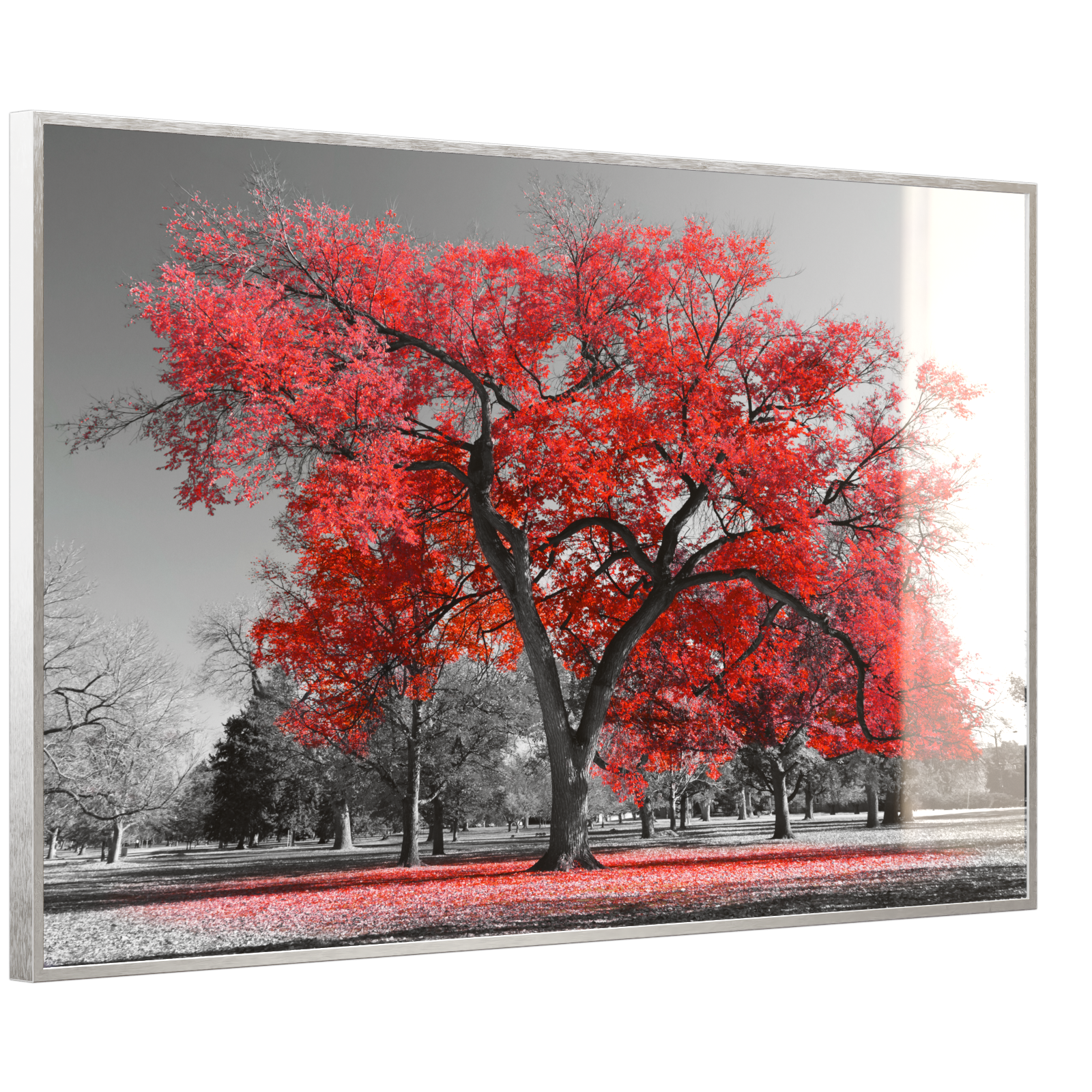 Deko Glas Wandbild Motiv 010 roter Baum