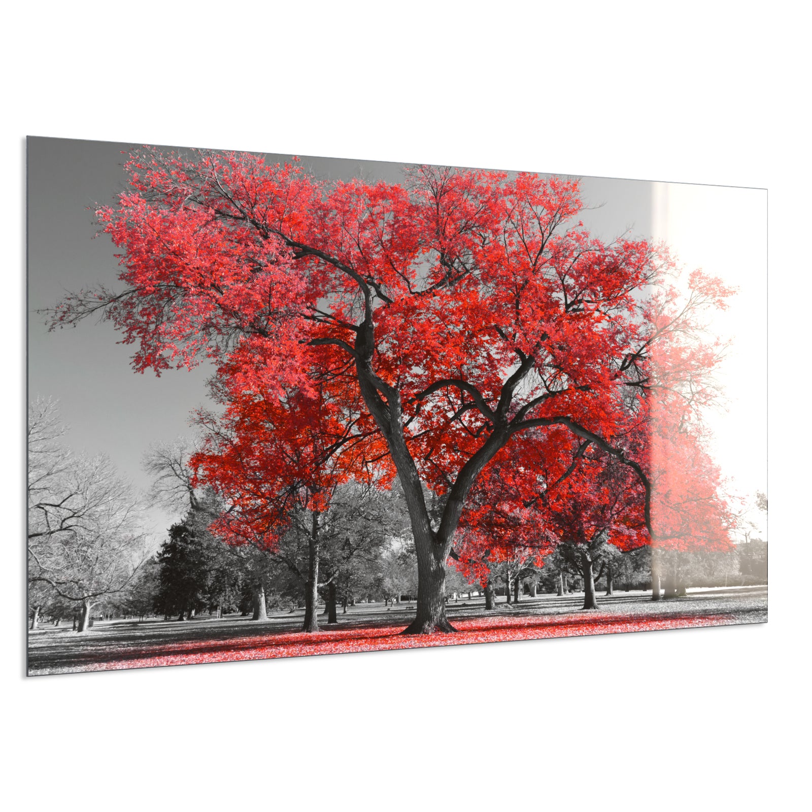 Deko Glas Wandbild Motiv 010 roter Baum