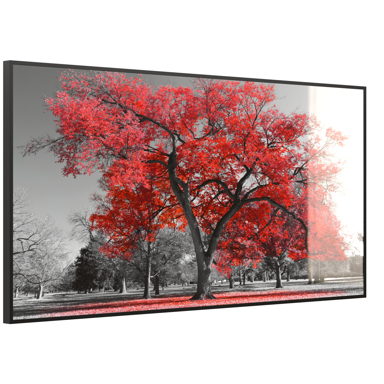 Deko Glas Wandbild Motiv 010 roter Baum