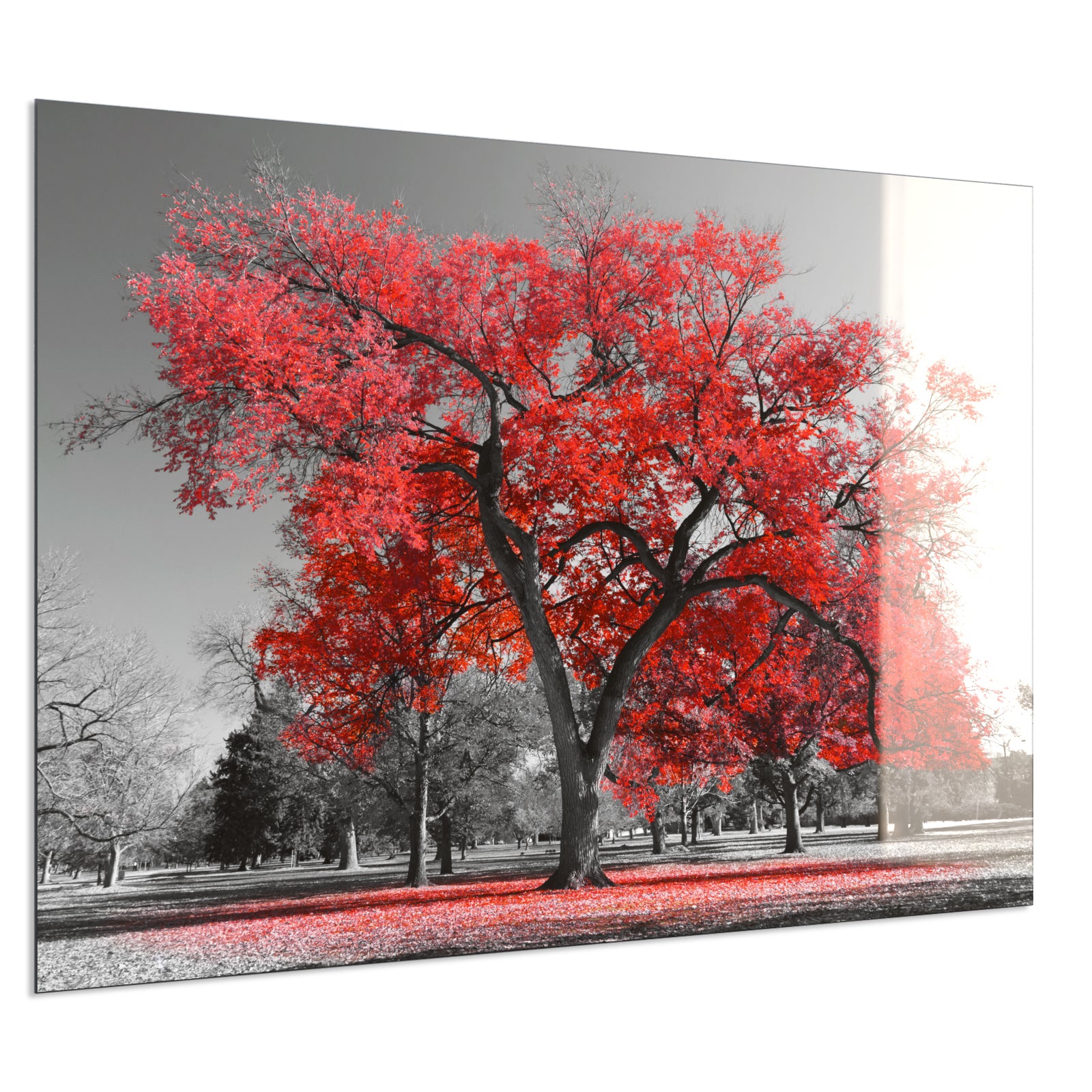 Deko Glas Wandbild Motiv 010 roter Baum