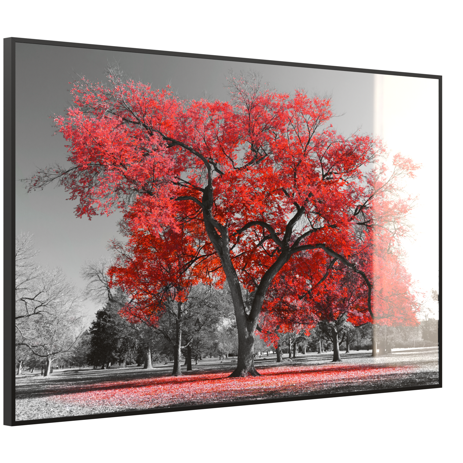 Deko Glas Wandbild Motiv 010 roter Baum