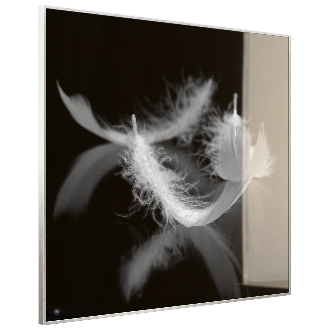 STEINFELD Deko Glas Wandbild Motiv 018 Federn Schwarz Weiß
