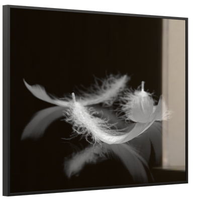 STEINFELD Deko Glas Wandbild Motiv 018 Federn Schwarz Weiß