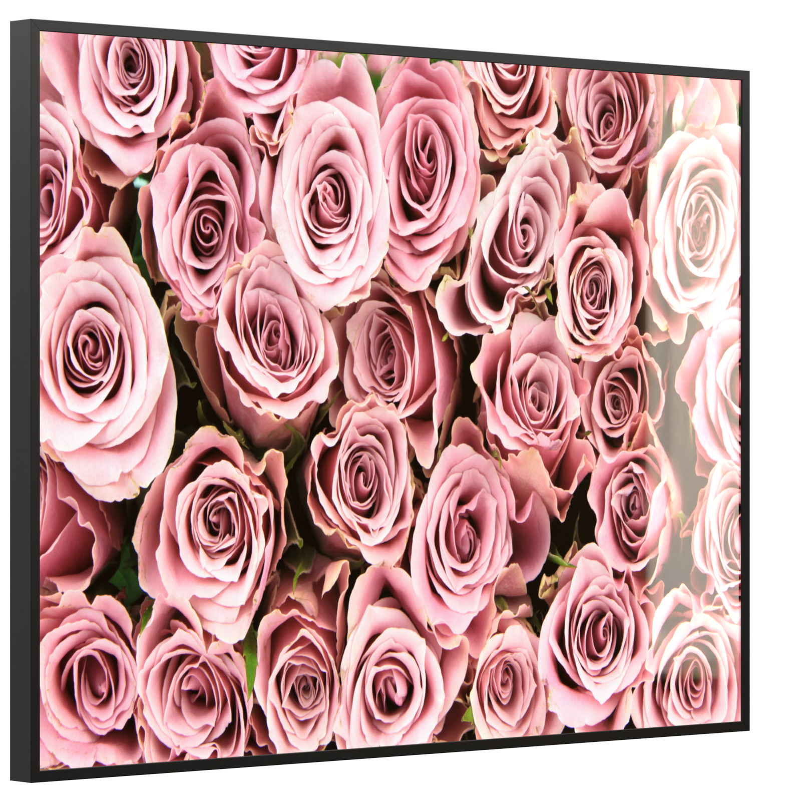 Deko Glas Wandbild Motiv 021 Rosenstrauß