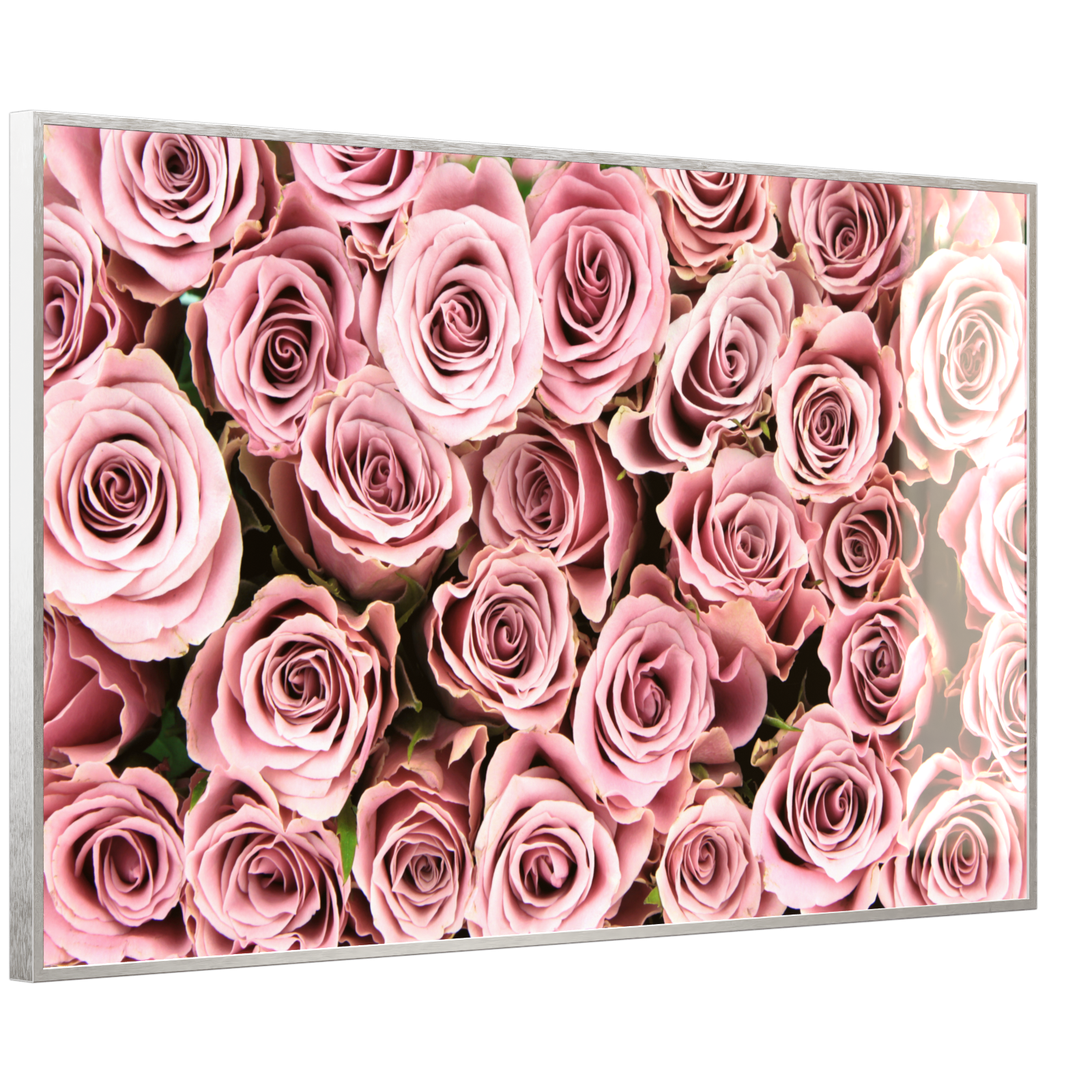 Deko Glas Wandbild Motiv 021 Rosenstrauß