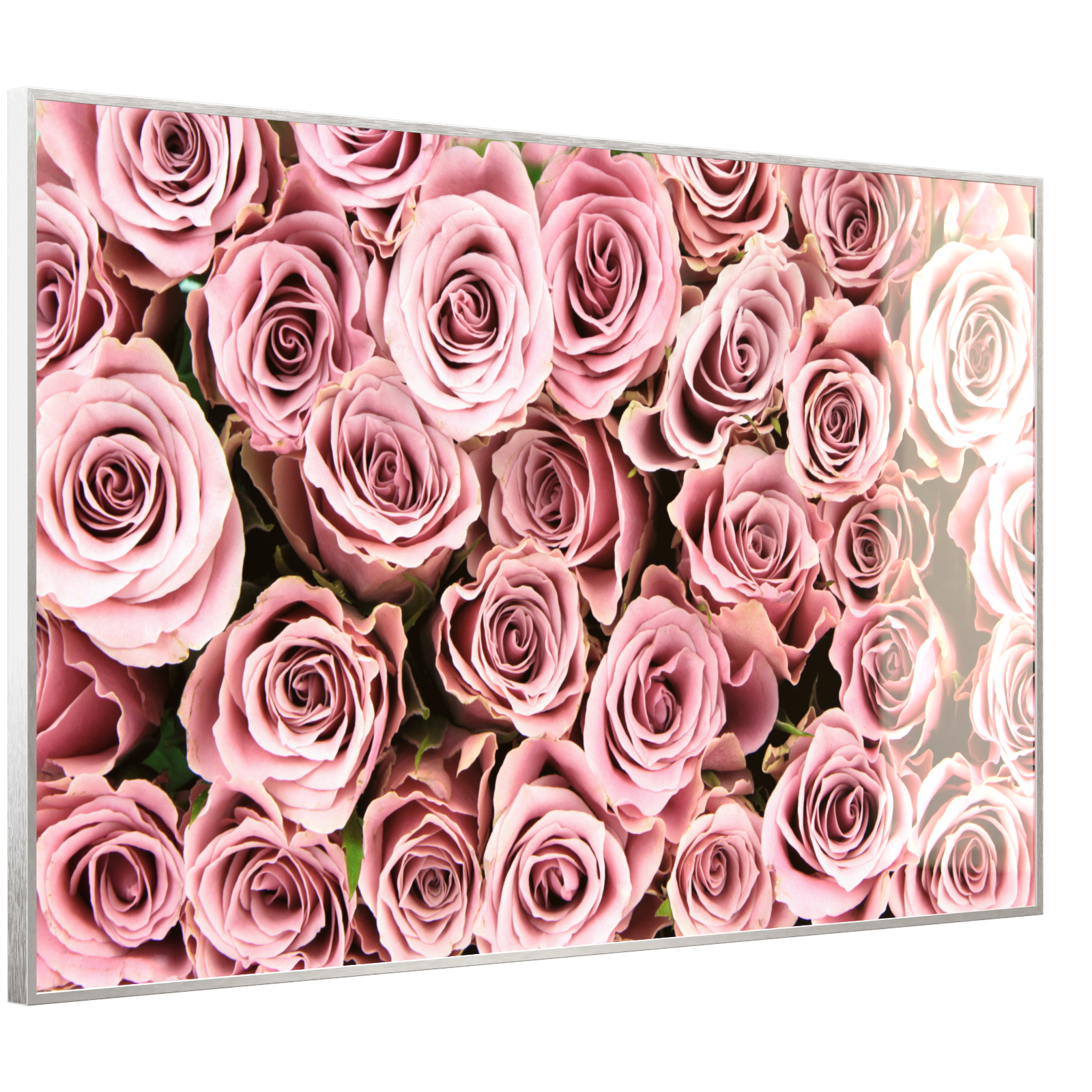 Deko Glas Wandbild Motiv 021 Rosenstrauß