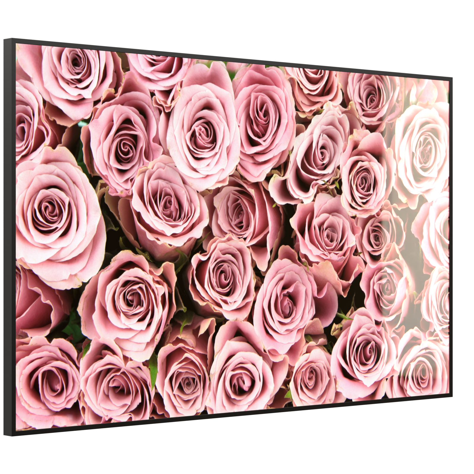 Deko Glas Wandbild Motiv 021 Rosenstrauß