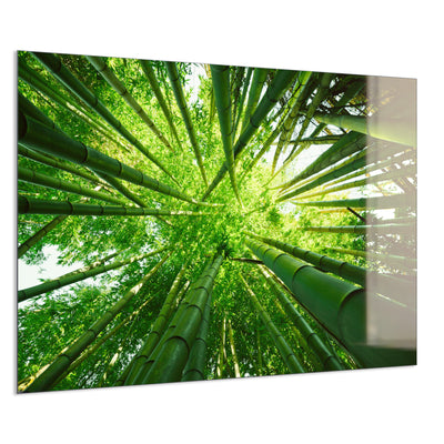 STEINFELD Deko Glas Wandbild Motiv 023 Bambusbaum