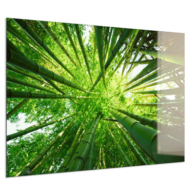 STEINFELD Deko Glas Wandbild Motiv 023 Bambusbaum