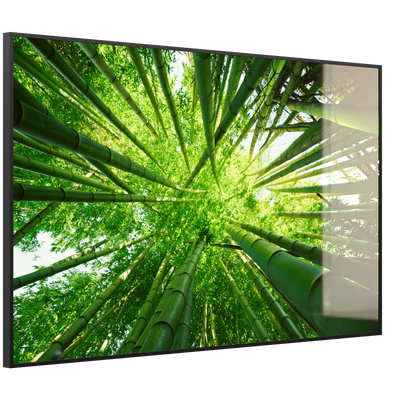 STEINFELD Deko Glas Wandbild Motiv 023 Bambusbaum