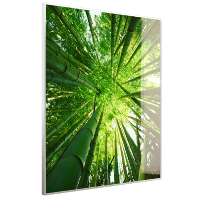 STEINFELD Deko Glas Wandbild Motiv 023H Bambusbaum
