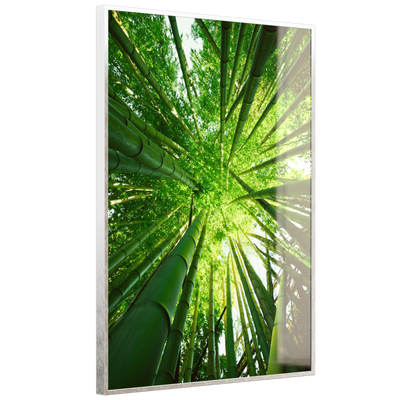 STEINFELD Deko Glas Wandbild Motiv 023H Bambusbaum