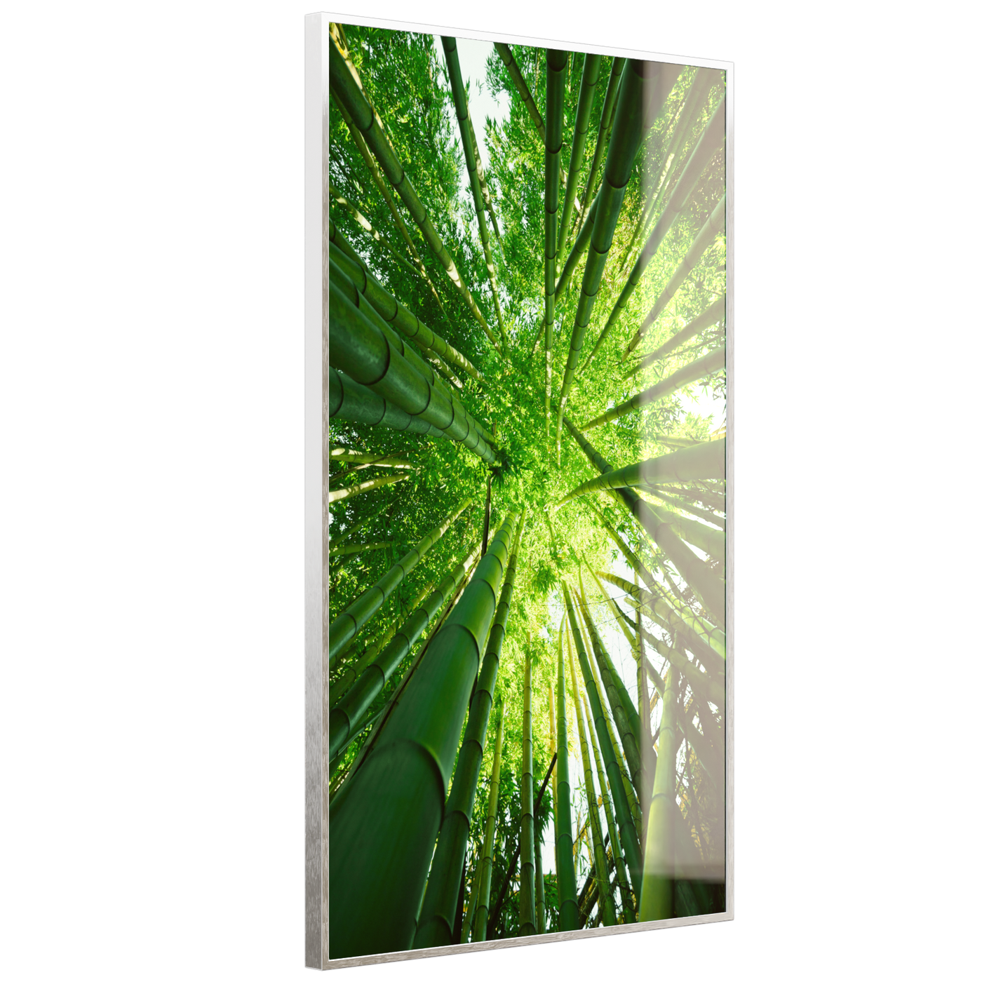 STEINFELD Deko Glas Wandbild Motiv 023H Bambusbaum