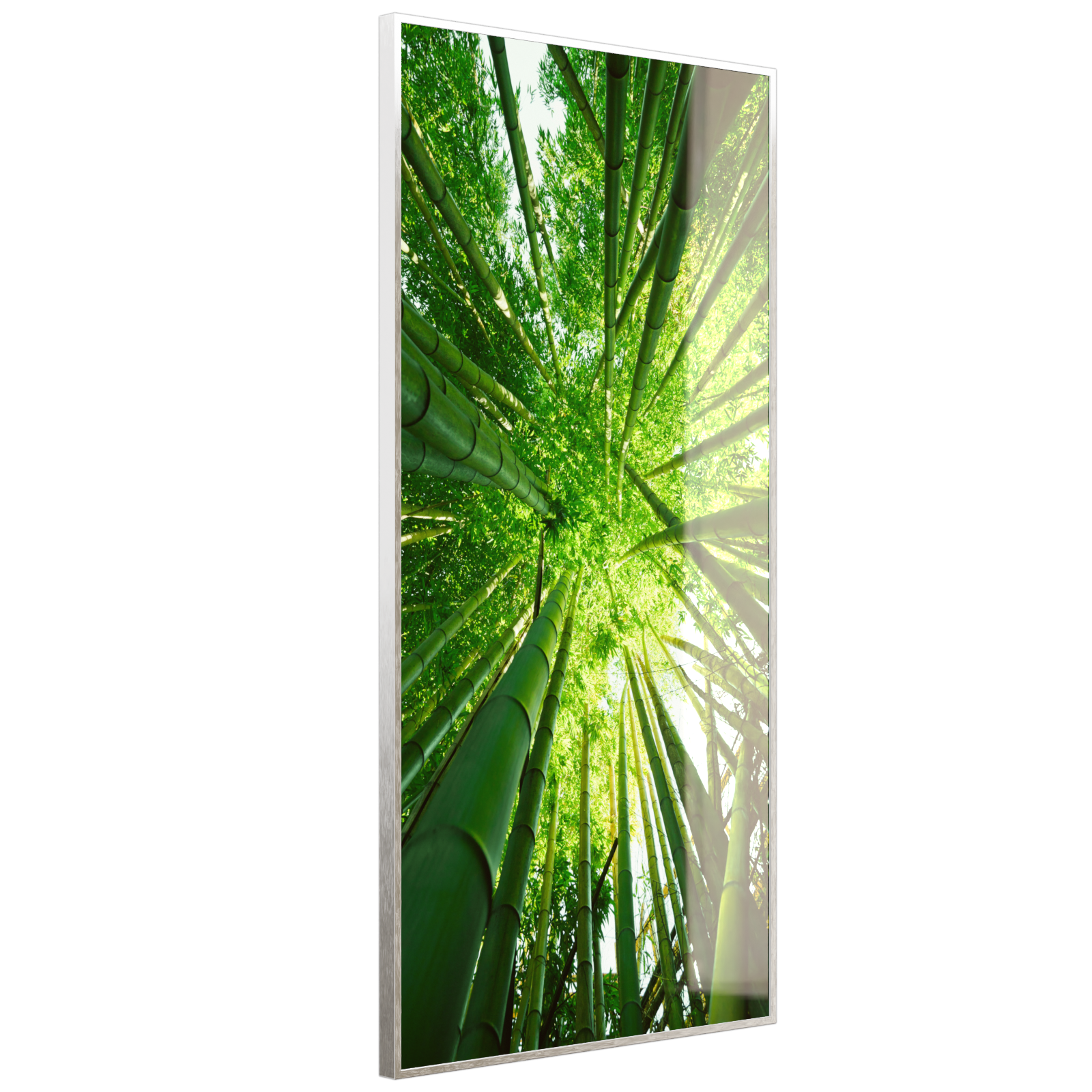 Deko Glas Wandbild Motiv 023H Bambusbaum