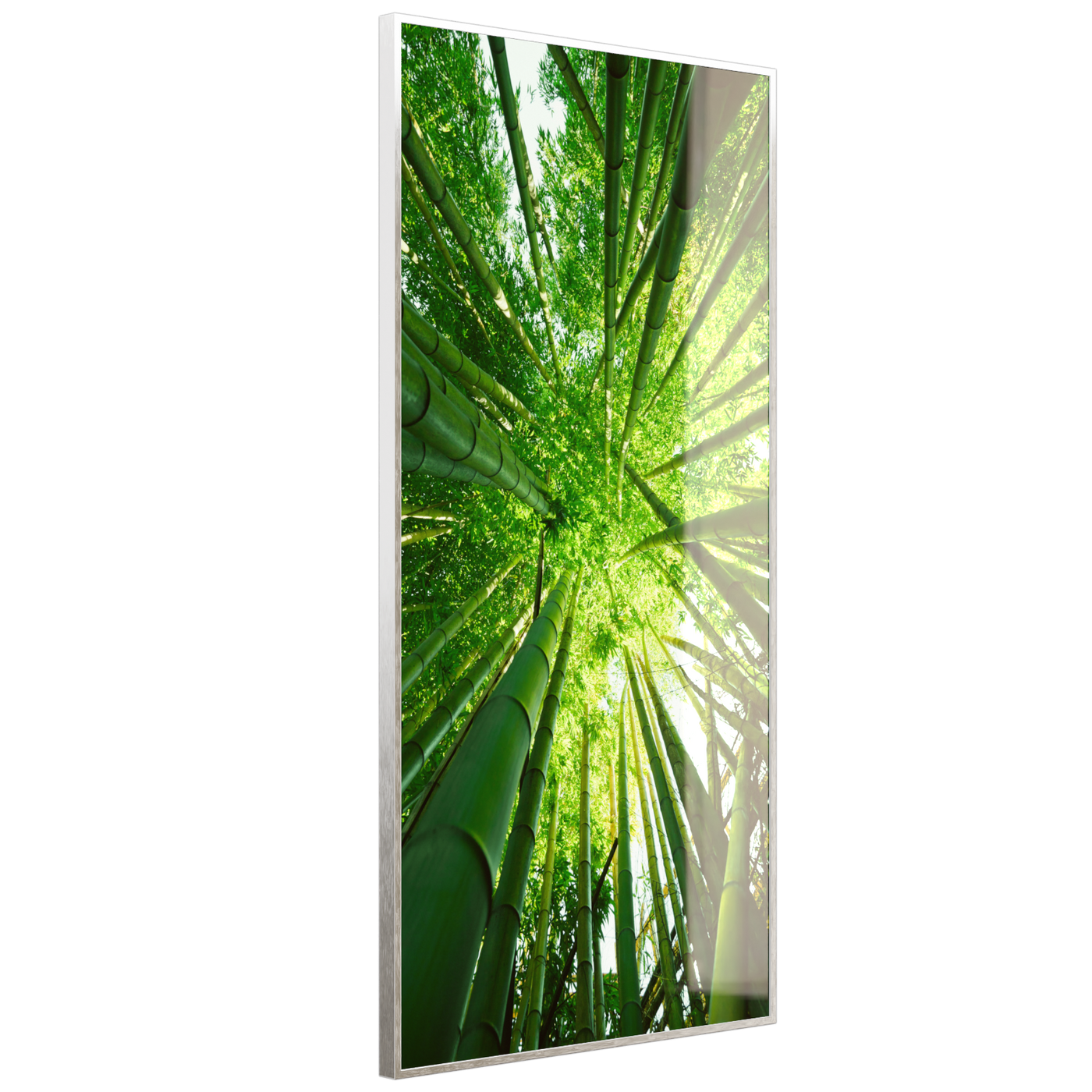 STEINFELD Deko Glas Wandbild Motiv 023H Bambusbaum