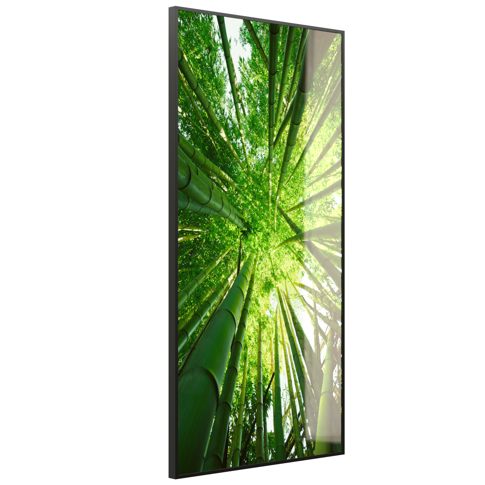 Deko Glas Wandbild Motiv 023H Bambusbaum