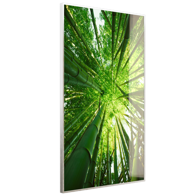 STEINFELD Deko Glas Wandbild Motiv 023H Bambusbaum