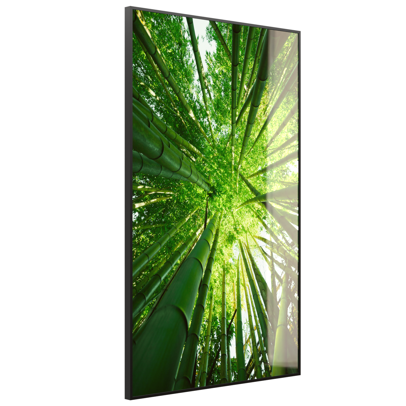 STEINFELD Deko Glas Wandbild Motiv 023H Bambusbaum