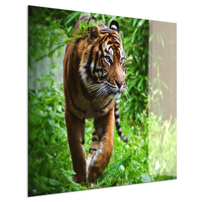 STEINFELD Deko Glas Wandbild Motiv 024 Tiger